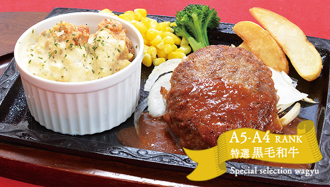 黒毛和牛ハンバーグ＆チキン南蛮